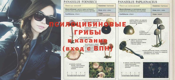 трава Гусь-Хрустальный